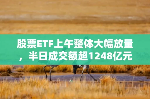 股票ETF上午整体大幅放量，半日成交额超1248亿元