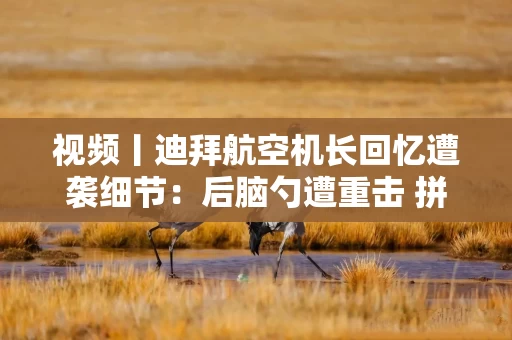 视频丨迪拜航空机长回忆遭袭细节：后脑勺遭重击 拼死打开驾驶舱门