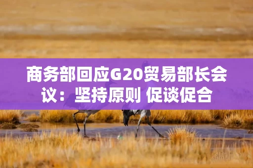 商务部回应G20贸易部长会议：坚持原则 促谈促合