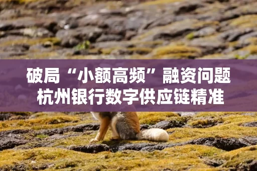 破局“小额高频”融资问题 杭州银行数字供应链精准滴灌产业链“毛细血管” 破局“小额高频”融资问题 杭州银行数字供应链精准滴灌产业链“毛细血管”