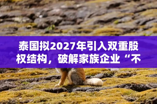 泰国拟2027年引入双重股权结构，破解家族企业“不愿上市”难题