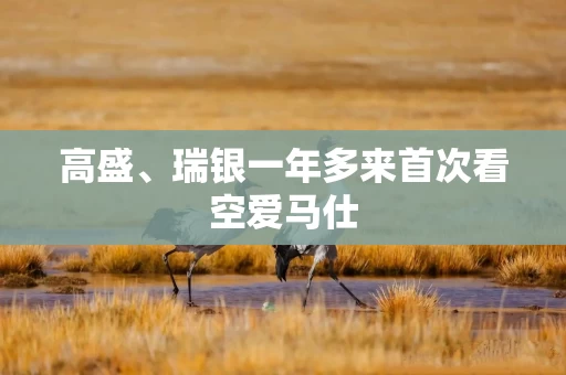 高盛、瑞银一年多来首次看空爱马仕 高盛、瑞银一年多来首次看空爱马仕
