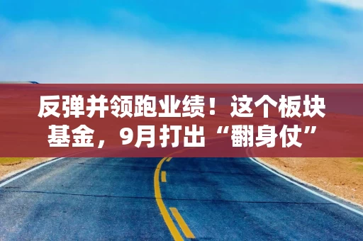 反弹并领跑业绩!这个板块基金,9月打出“翻身仗” 反弹并领跑业绩!这个板块基金,9月打出“翻身仗”