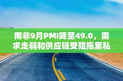 南非9月PMI降至49.0,需求走弱和供应链受阻拖累私营经济收缩 南非9月PMI降至49.0,需求走弱和供应链受阻拖累私营经济收缩