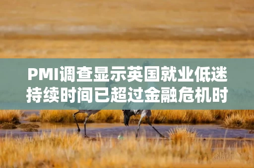 PMI调查显示英国就业低迷持续时间已超过金融危机时期 PMI调查显示英国就业低迷持续时间已超过金融危机时期