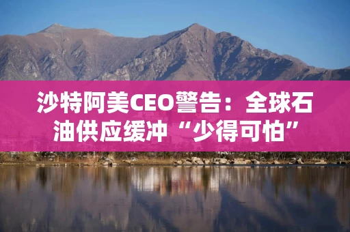 沙特阿美CEO警告:全球石油供应缓冲“少得可怕” 沙特阿美CEO警告:全球石油供应缓冲“少得可怕”