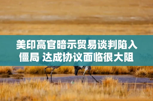 美印高官暗示贸易谈判陷入僵局 达成协议面临很大阻力 美印高官暗示贸易谈判陷入僵局 达成协议面临很大阻力