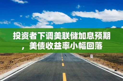 投资者下调美联储加息预期,美债收益率小幅回落 投资者下调美联储加息预期,美债收益率小幅回落