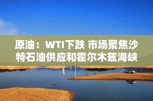 原油:WTI下跌 市场聚焦沙特石油供应和霍尔木兹海峡运输量 原油:WTI下跌 市场聚焦沙特石油供应和霍尔木兹海峡运输量