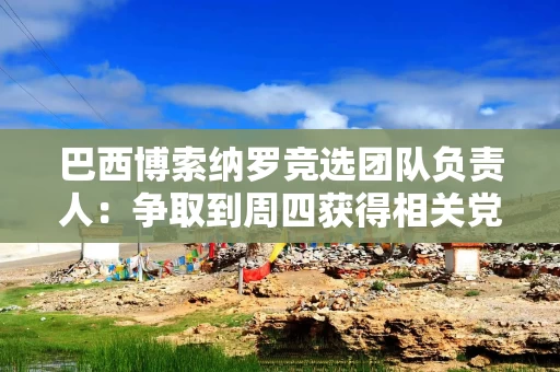 巴西博索纳罗竞选团队负责人:争取到周四获得相关党派支持 巴西博索纳罗竞选团队负责人:争取到周四获得相关党派支持