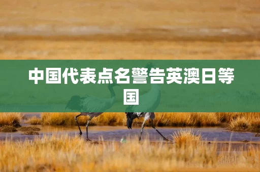 中国代表点名警告英澳日等国 中国代表点名警告英澳日等国