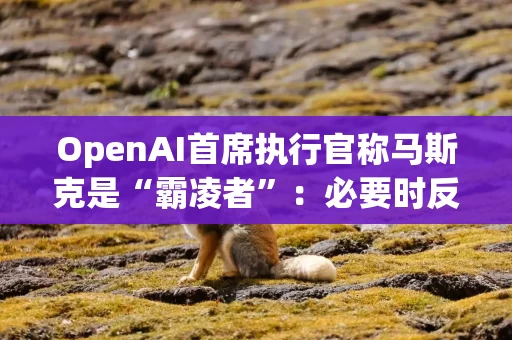OpenAI首席执行官称马斯克是“霸凌者”:必要时反击才会让他尊重你 OpenAI首席执行官称马斯克是“霸凌者”:必要时反击才会让他尊重你