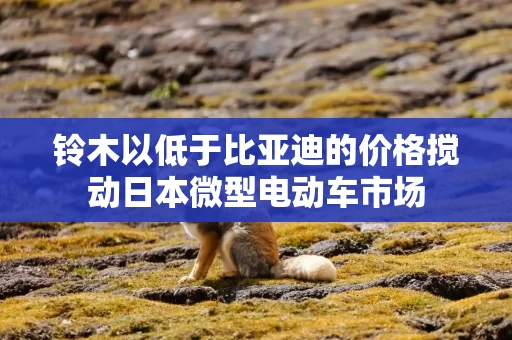 铃木以低于比亚迪的价格搅动日本微型电动车市场 铃木以低于比亚迪的价格搅动日本微型电动车市场