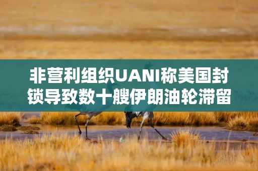 非营利组织UANI称美国封锁导致数十艘伊朗油轮滞留该国沿海 非营利组织UANI称美国封锁导致数十艘伊朗油轮滞留该国沿海