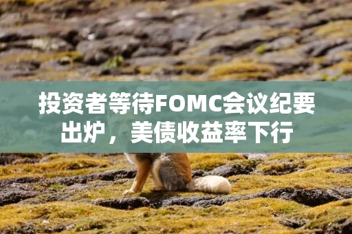 投资者等待FOMC会议纪要出炉,美债收益率下行 投资者等待FOMC会议纪要出炉,美债收益率下行