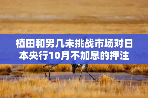 植田和男几未挑战市场对日本央行10月不加息的押注 植田和男几未挑战市场对日本央行10月不加息的押注