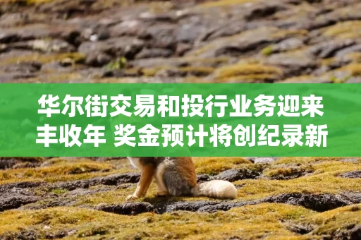 华尔街交易和投行业务迎来丰收年 奖金预计将创纪录新高 华尔街交易和投行业务迎来丰收年 奖金预计将创纪录新高