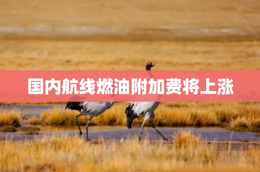 国内航线燃油附加费将上涨 国内航线燃油附加费将上涨