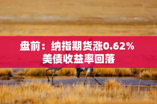 盘前：纳指期货涨0.62% 美债收益率回落