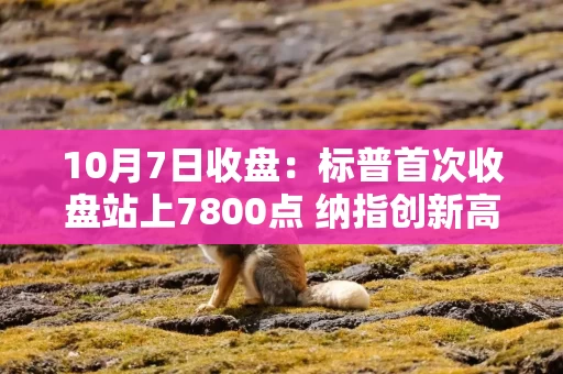 10月7日收盘：标普首次收盘站上7800点 纳指创新高 受科技股上涨和收益率走低提振