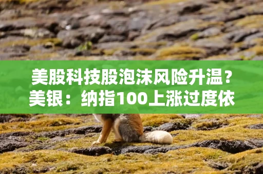美股科技股泡沫风险升温？美银：纳指100上涨过度依赖少数AI巨头 可通过期权捕捉机会