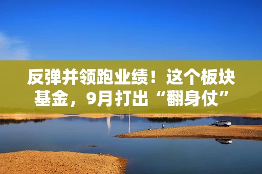 反弹并领跑业绩！这个板块基金，9月打出“翻身仗”