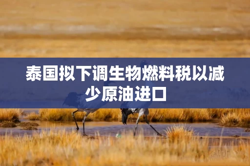 泰国拟下调生物燃料税以减少原油进口 泰国拟下调生物燃料税以减少原油进口
