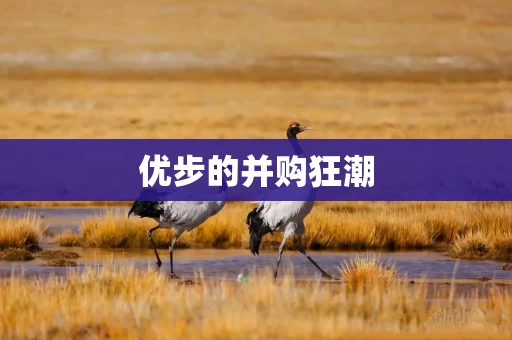 优步的并购狂潮 优步的并购狂潮