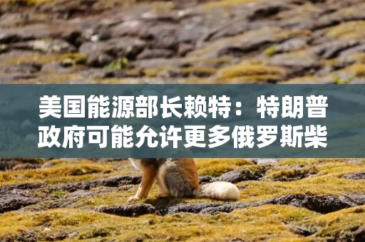 美国能源部长赖特:特朗普政府可能允许更多俄罗斯柴油进入市场 美国能源部长赖特:特朗普政府可能允许更多俄罗斯柴油进入市场