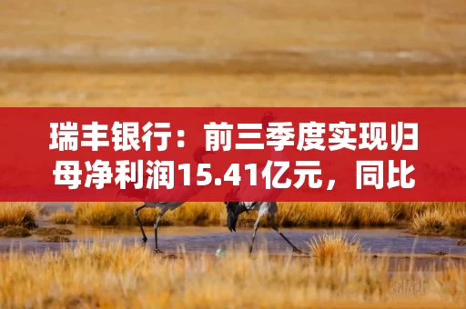瑞丰银行:前三季度实现归母净利润15.41亿元,同比增长1.02% 瑞丰银行:前三季度实现归母净利润15.41亿元,同比增长1.02%