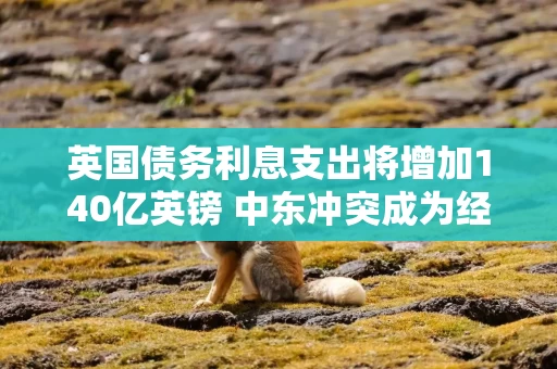 英国债务利息支出将增加140亿英镑 中东冲突成为经济逆风主要推手