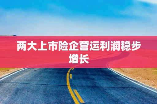 两大上市险企营运利润稳步增长 两大上市险企营运利润稳步增长