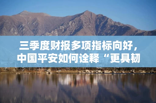 三季度财报多项指标向好,中国平安如何诠释“更具韧性的增长”? 三季度财报多项指标向好,中国平安如何诠释“更具韧性的增长”?