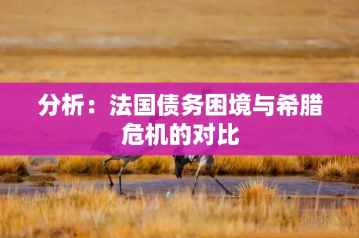 分析：法国债务困境与希腊危机的对比