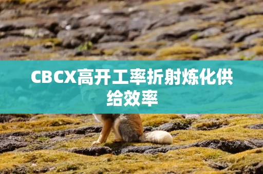 CBCX高开工率折射炼化供给效率 CBCX高开工率折射炼化供给效率