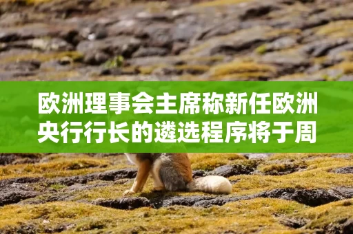 欧洲理事会主席称新任欧洲央行行长的遴选程序将于周四启动 欧洲理事会主席称新任欧洲央行行长的遴选程序将于周四启动
