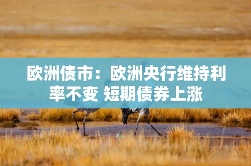 欧洲债市：欧洲央行维持利率不变 短期债券上涨