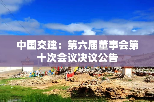 中国交建：第六届董事会第十次会议决议公告