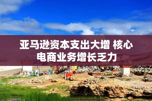 亚马逊资本支出大增 核心电商业务增长乏力