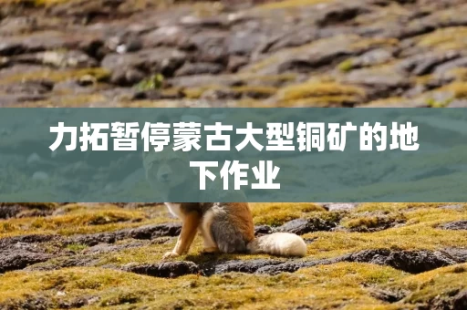力拓暂停蒙古大型铜矿的地下作业 力拓暂停蒙古大型铜矿的地下作业