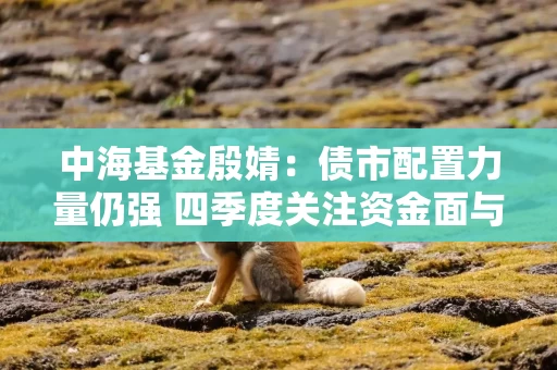 中海基金殷婧：债市配置力量仍强 四季度关注资金面与政策落地