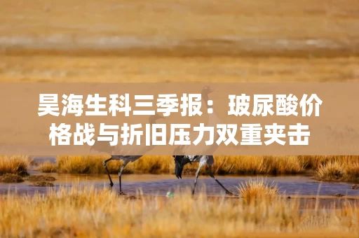 昊海生科三季报：玻尿酸价格战与折旧压力双重夹击