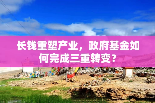 长钱重塑产业，政府基金如何完成三重转变？