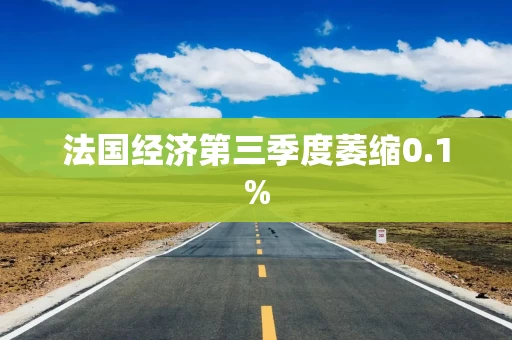 法国经济第三季度萎缩0.1%
