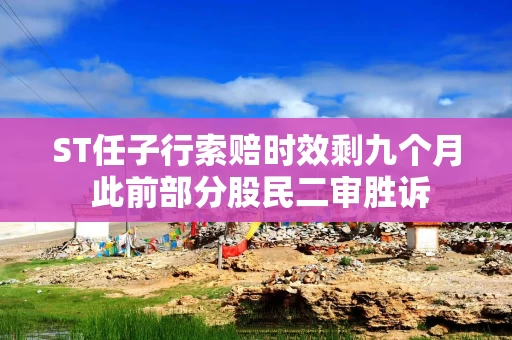 ST任子行索赔时效剩九个月 此前部分股民二审胜诉