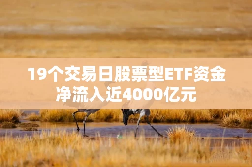 19个交易日股票型ETF资金净流入近4000亿元