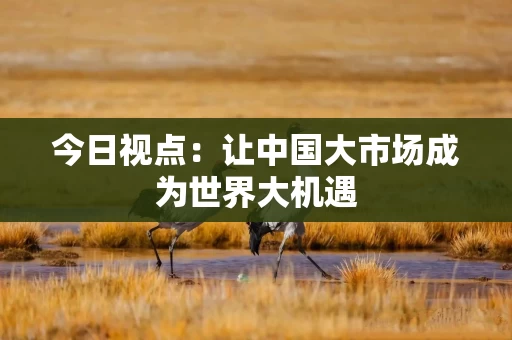 今日视点：让中国大市场成为世界大机遇