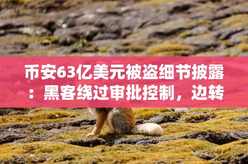 币安63亿美元被盗细节披露：黑客绕过审批控制，边转移资产边销毁痕迹