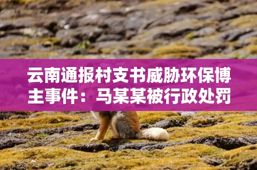 云南通报村支书威胁环保博主事件：马某某被行政处罚，免去村党总支书记职务，村委会主任职务处理按程序启动