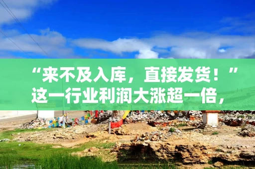 “来不及入库，直接发货！”这一行业利润大涨超一倍，业内分析